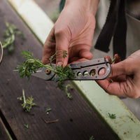 Foraging Bag Bundle